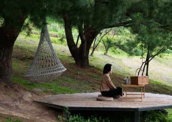 How Understanding Successful Community Health Programs Can Improve Your Life and the Lives of Others