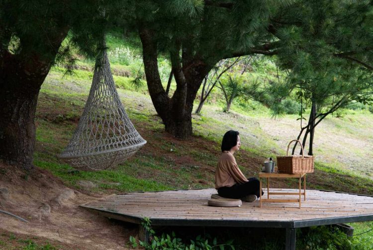 How Understanding Successful Community Health Programs Can Improve Your Life and the Lives of Others