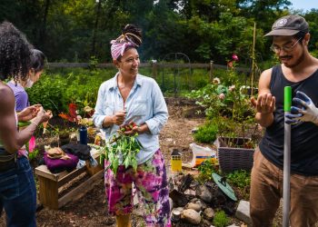 Community Gardens: Growing Together for Better Health
