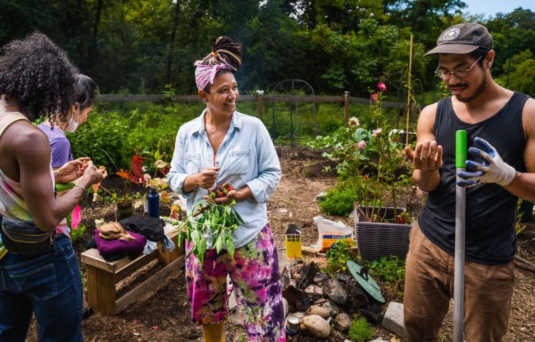 Community Gardens: Growing Together for Better Health