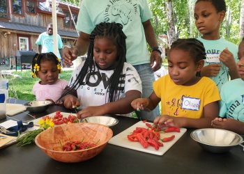 Intergenerational Programs: Bridging Age Gaps for Mental Wellness