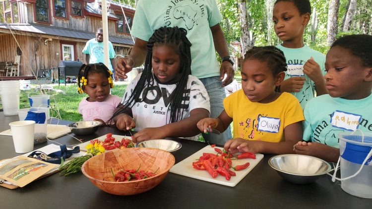 Intergenerational Programs: Bridging Age Gaps for Mental Wellness