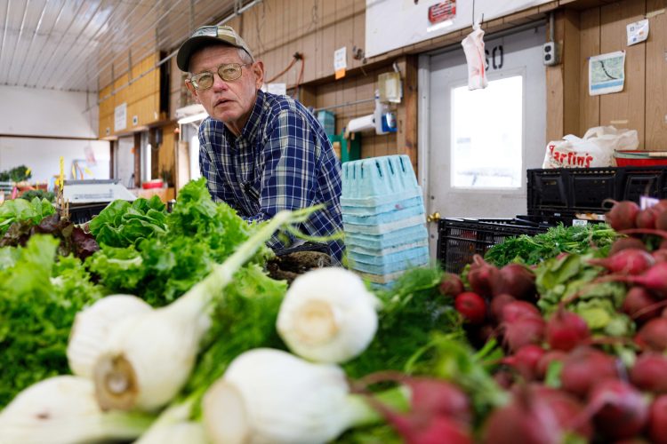 Eat with the Seasons: How Local Produce Can Transform Your Lifestyle