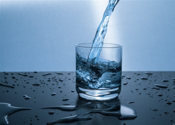 Does Drinking Enough Water Every Day Really Improve Focus?