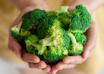 Is Your Daily Nutrient Intake Truly Sufficient?