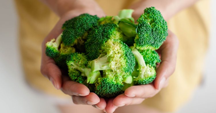 Is Your Daily Nutrient Intake Truly Sufficient?