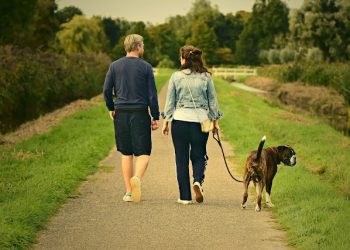 Why Simple Daily Walking Is More Powerful Than You Think