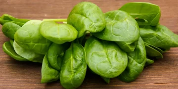Do You Know the “Hidden Nutrients” in Your Daily Diet? These Foods’ Potential Might Surprise You!