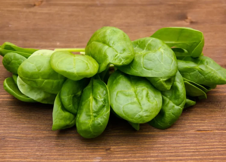 Do You Know the “Hidden Nutrients” in Your Daily Diet? These Foods’ Potential Might Surprise You!